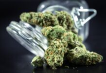 Dinamarca revisa el suministro de cannabis medicinal Flores secas de cannabis junto a un tarro de cristal