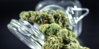 Dinamarca revisa el suministro de cannabis medicinal Flores secas de cannabis junto a un tarro de cristal