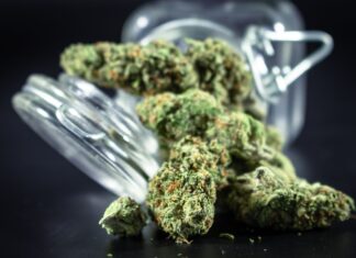 Dinamarca revisa el suministro de cannabis medicinal Flores secas de cannabis junto a un tarro de cristal