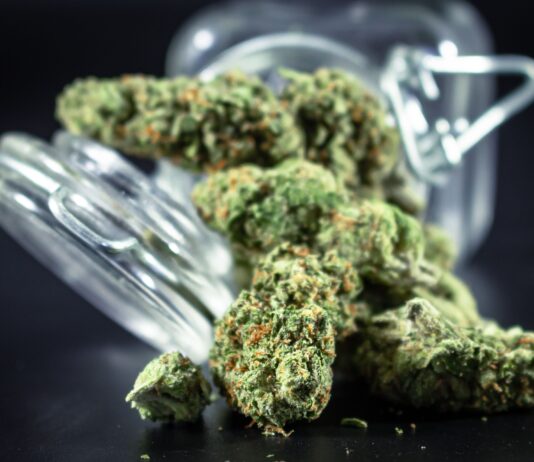 Dinamarca revisa el suministro de cannabis medicinal Flores secas de cannabis junto a un tarro de cristal
