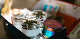 Georgia aprueba en EE UU la entrega de cannabis medicinal Frascos de cristal con cannabis medicinal almacenados en una caja