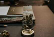 Puerto Rico limita la protección laboral del cannabis medicinal Flores de cannabis medicinal en un tarro sobre una mesa de trabajo