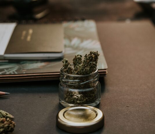 Puerto Rico limita la protección laboral del cannabis medicinal Flores de cannabis medicinal en un tarro sobre una mesa de trabajo